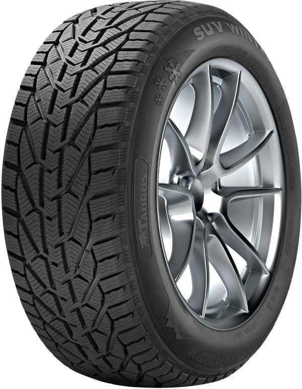 165/65R15 81T Taurus WINTER